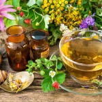 43283067 - cup of herbal tea with wild flowers and various herbs