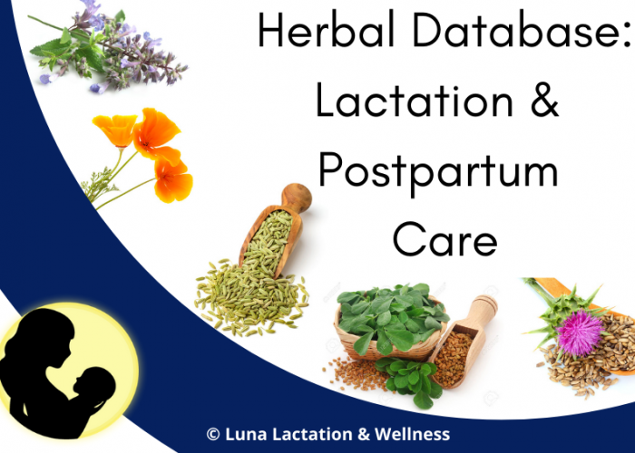 Herbal Database: Lactation & Postpartum Care
