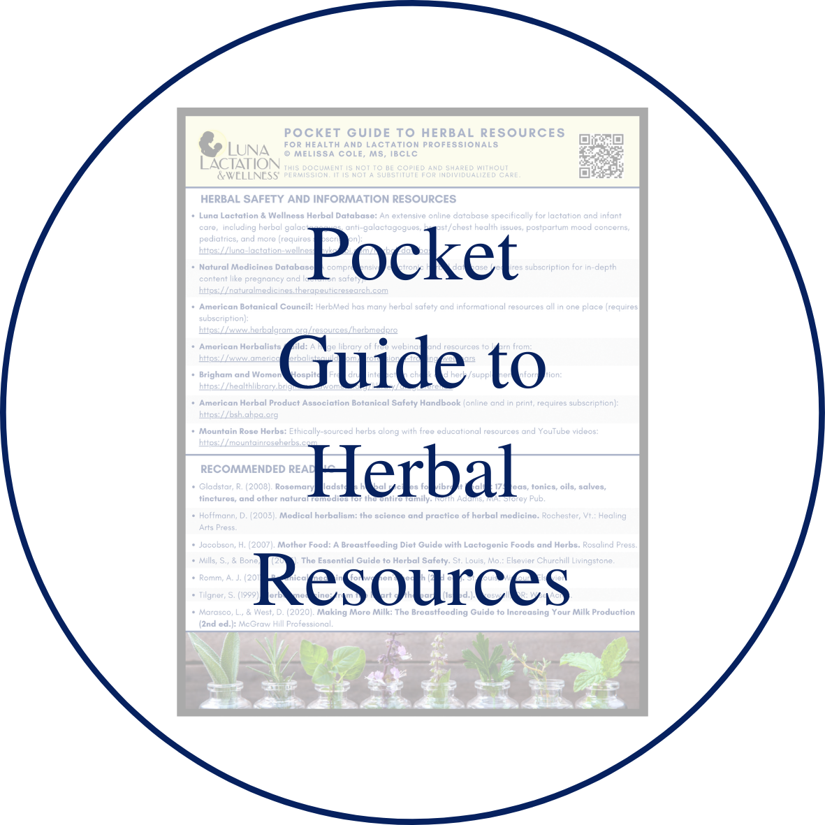 pocketguidedownload Luna Lactation & Wellness