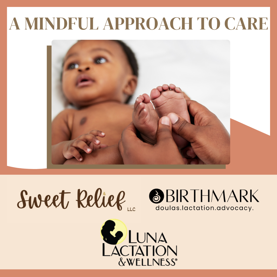 copy-of-new-orleans-2